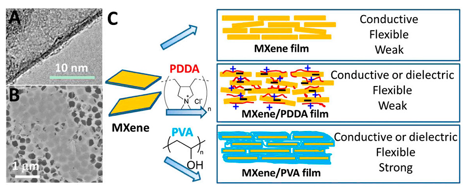 Fig. 1. (A) TEM and (B) SEM images of MXene flakes after delamination and before film manufacturing. (C) A schematic illustration of MXene-based functional films with adjustable properties.