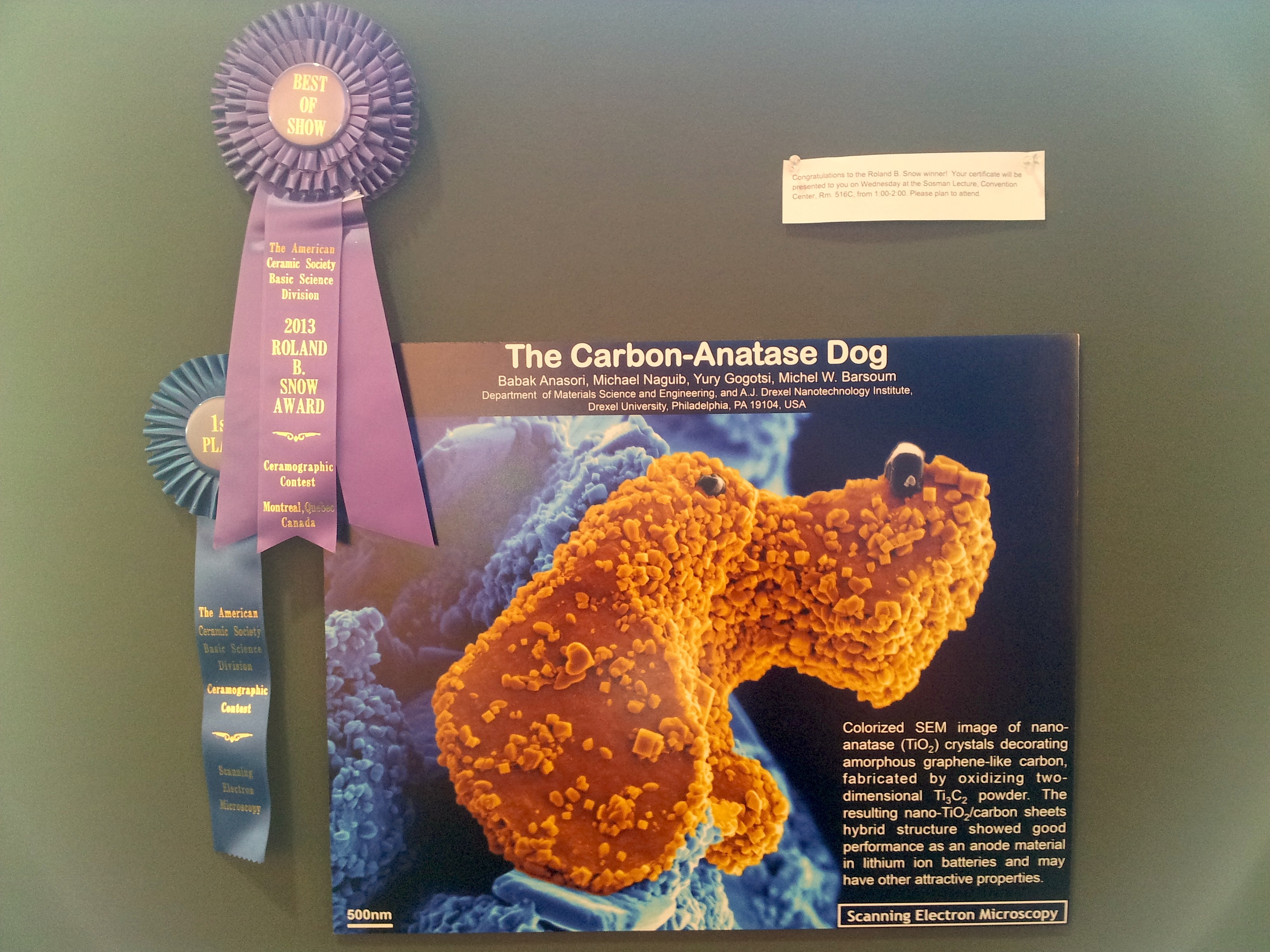 Roland B. Snow Award 2013 for The Carbon-Anatase Dog, 