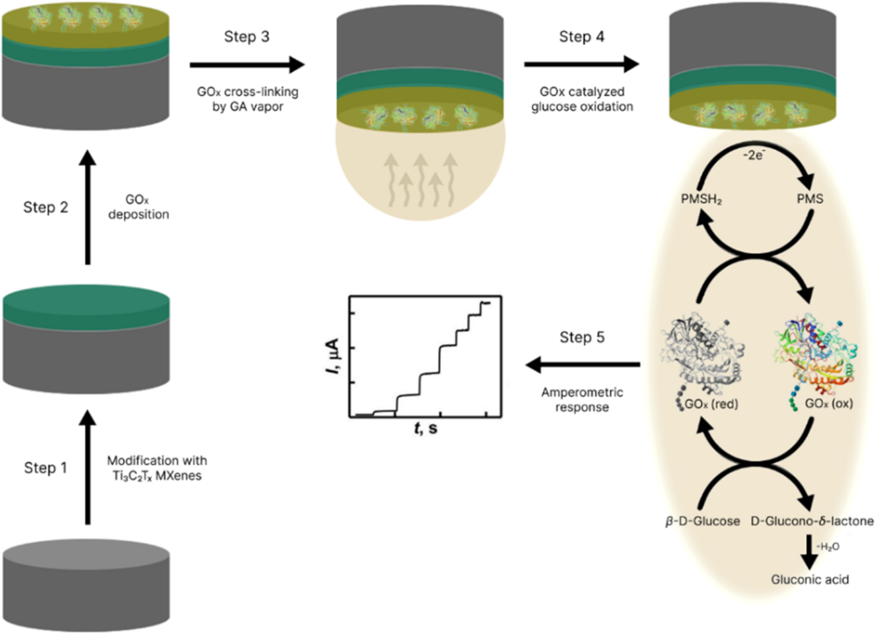 Schematic representation of working electrode development and electrochemical measurement of glucose concentration