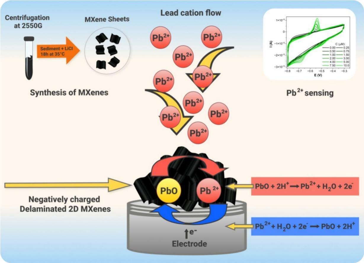 Action of MXene-modified electrode in sensor application