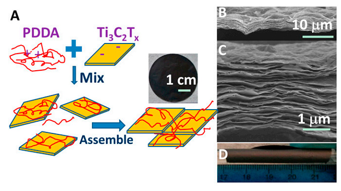 Fig. 3. Flexible free-standing Ti 3 C 2 T x /PDDA films. (A) Schematic illustration of synthesis of Ti 3 C 2 T x /PDDA hybrids and their assembled films. (B and C) Cross-sectional SEM images of films at different magnifications. (D) Digital image of a film wrapped around a glass rod with a 10 mm diameter.