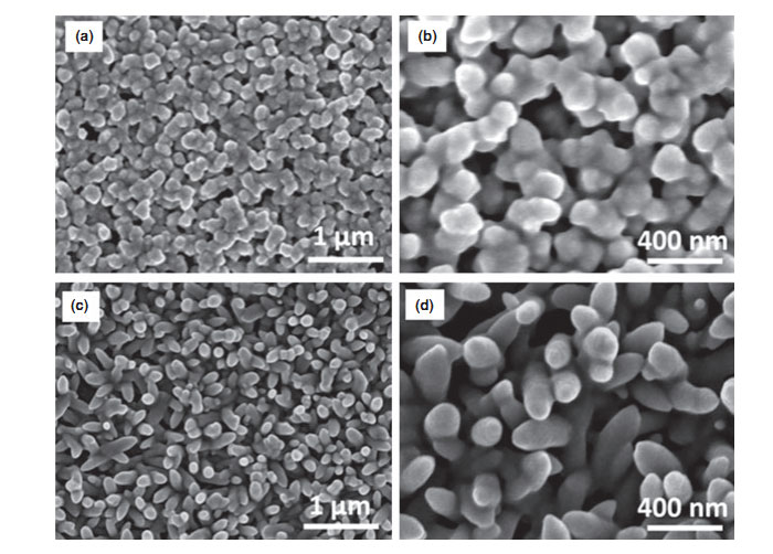  On the SEM picture: brass with titanium dioxide coating (а, b) and brass surface covered with tungsten oxide (с, d)