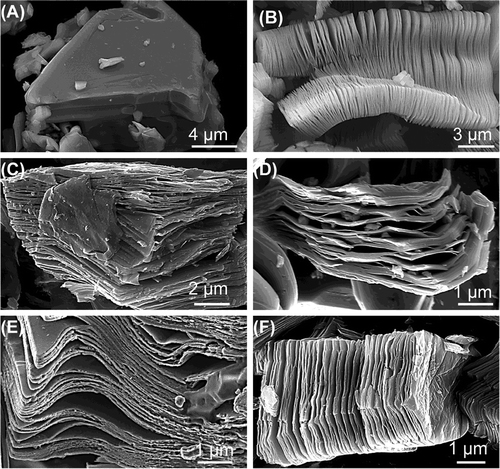 Secondary electron SEM micrographs for (A) Ti3AlC2 particle before treatment, which is typical of unreacted MAX phases, (B) Ti3AlC2 after HF treatment, (C) Ti2AlC after HF treatment, (D) Ta4AlC3 after HF treatment, (E) TiNbAlC after HF treatment, and (F) Ti3AlCN after HF treatment. In (B–F), the exfoliation is obvious.