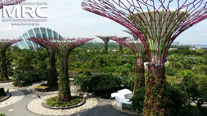 Garden in Singapore